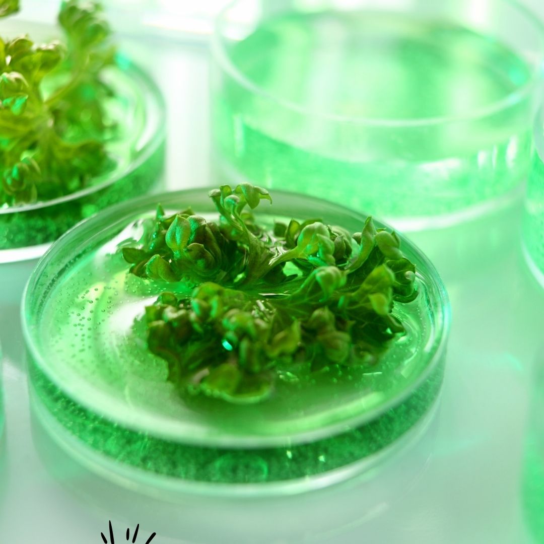 Biology Lab